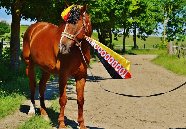 的潜力无限 的潜力无限