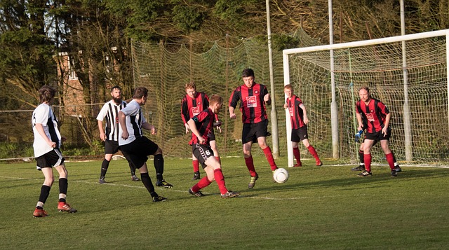 就业信息对 就业信息对