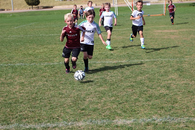 仅展现了球 仅展现了球