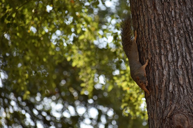 关键在于建 关键在于建